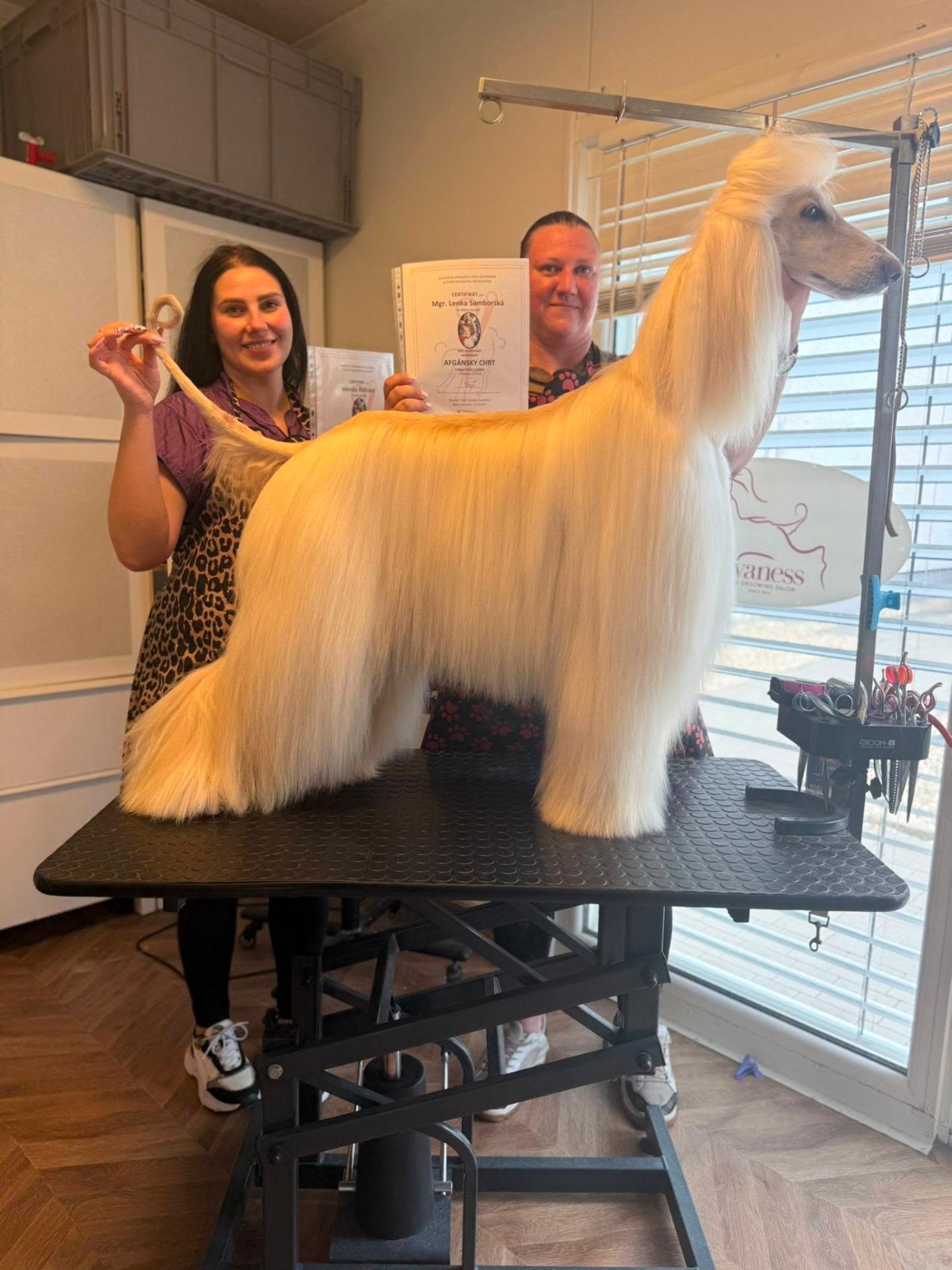 Certifikovaný groomer Sary